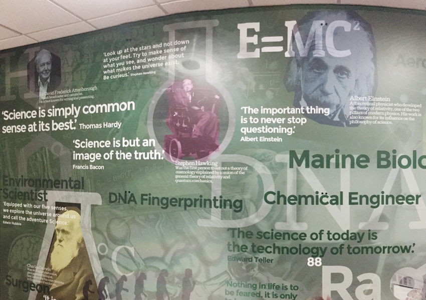 Creating an exciting and stimulating space for students by bringing wall displays in curriculum subjects into corridor areas.