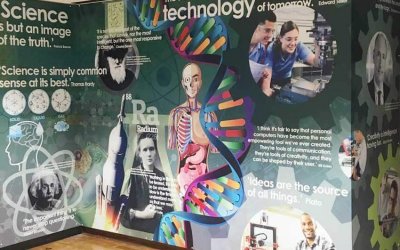 Multi Academy Trust Wall Displays at Holgate Academy