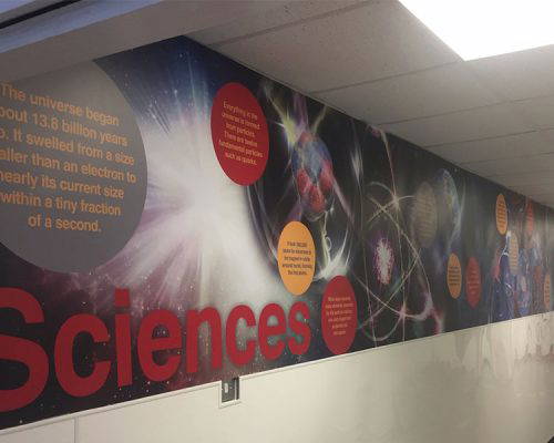Design for Education school branding