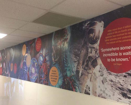 Science timeline