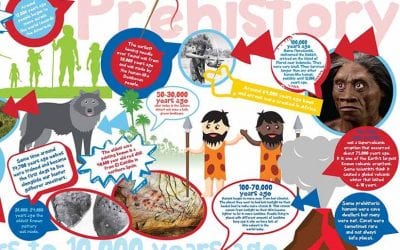 Journey through history with our new timeline wall displays