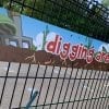 Design for Education