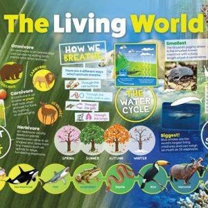 The Living World Wall Display