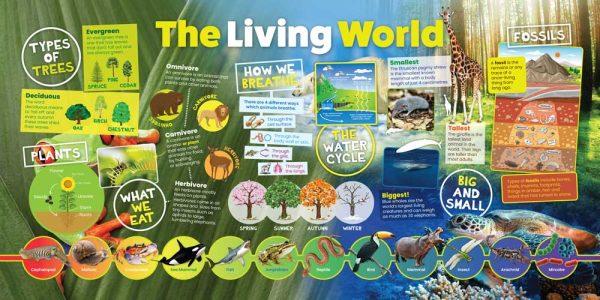 The Living World Wall Display