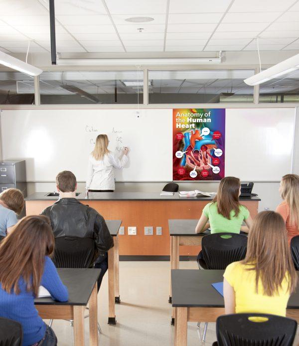Anatomy of the Human Heart School Wall Display - Image 3