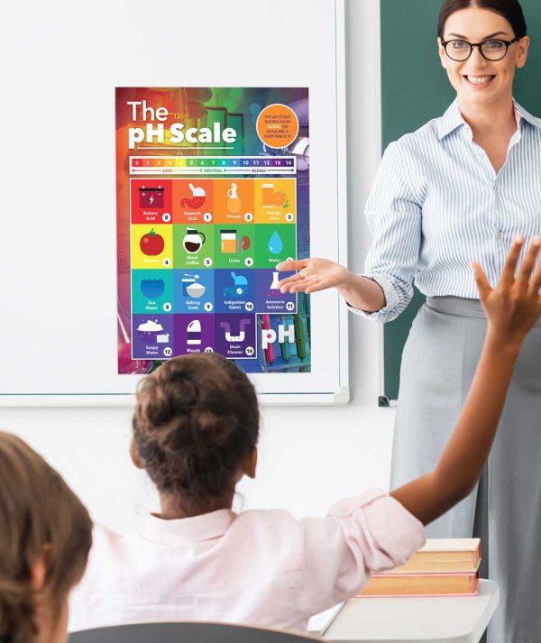 pH Scale School Wall Display - Image 2