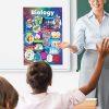 Biology Curriculum School Wall Display - Image 2