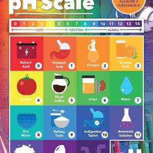 pH Scale School Wall Display