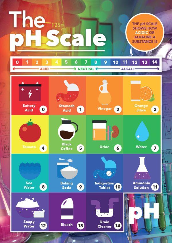 pH Scale School Wall Display