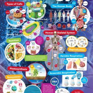 Biology Curriculum School Wall Display