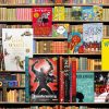 Option 3 - Bookshelf - 3 Versions with Different Books