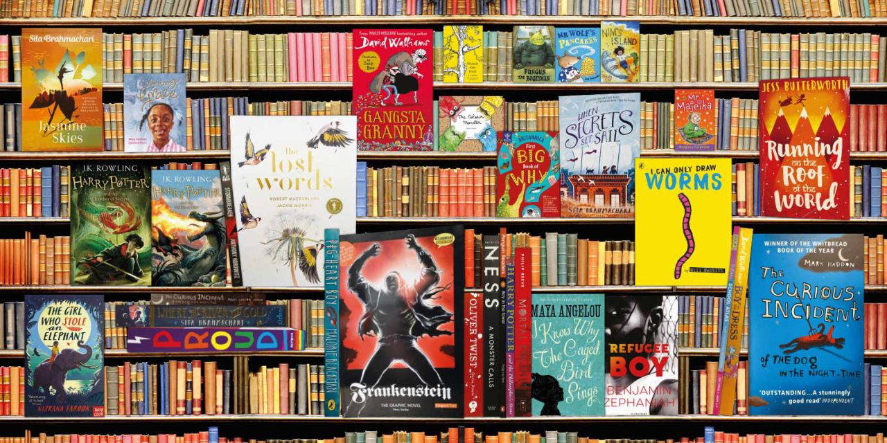 Bookshelf 3 Versions with Different Books Design For Education