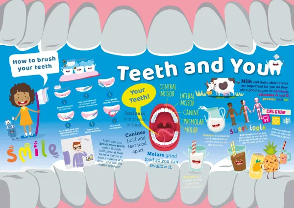 Healthy Teeth Wall Display for Primary Schools - Image 4