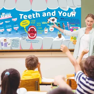 Healthy teeth science wall display