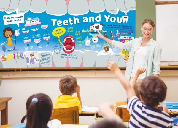 Healthy teeth science wall display