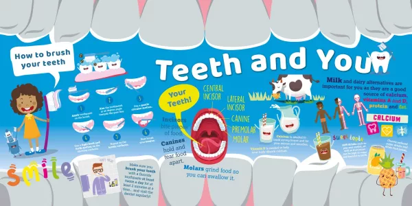 Healthy Teeth Wall Display for Primary Schools - Image 3