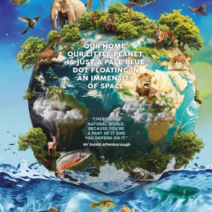 Environmental Wall
