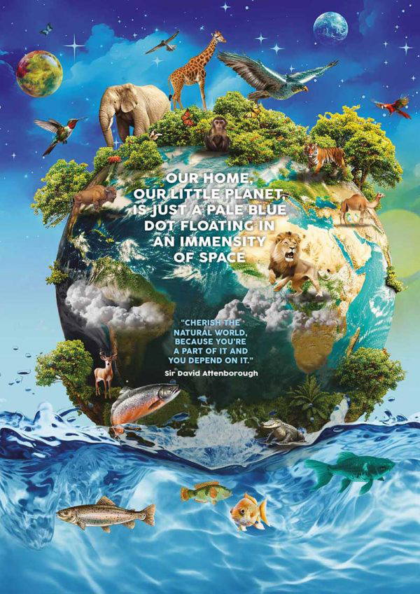 Environmental Wall