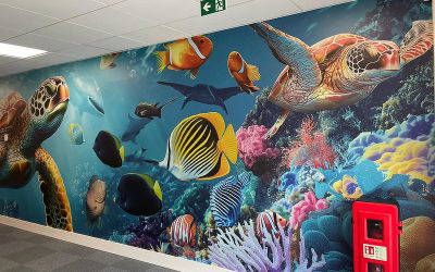 Creative school wall art featuring a bespoke underwater scene with turtles and fish. Classroom wall displays, wall murals. Designed, manufactured and installed by Design for Education