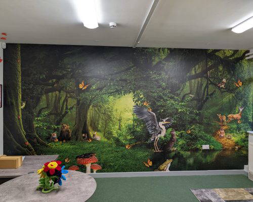 Bespoke nature themed school mural for a library. Designed, manufactured and installed by Design for Education