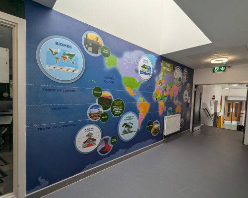 Bespoke geography wall display featuring a world map and biomes. Designed and installed by Design for Education.