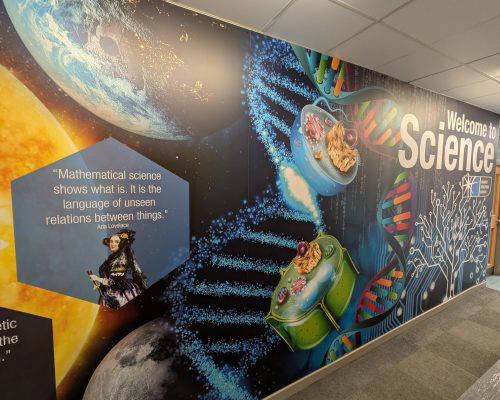 Welcome to science wall art. Designed, manufactured and installed by Design for Education