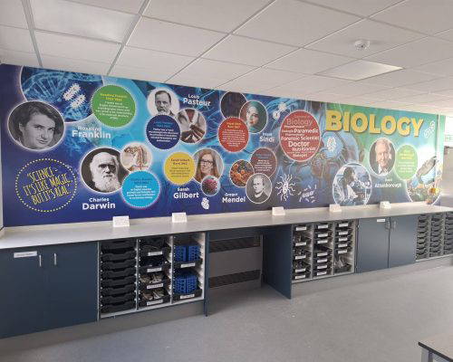 Biology Wall Mural Bespoke biology school wall art mural, featuring scientists. -Designed, manufactured and installed by Design for Education