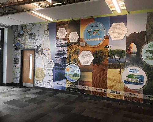 Bespoke school wall art featuring key topics such as biomes, the water cycle and erosion. Designed, manufactured and installed by Design for Education