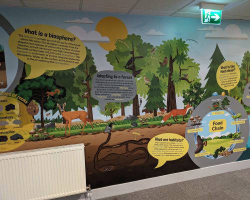 biome-geography-wall-art-in-a-primary-school Engaging geography wall art installed in a primary school focussing on biomes. Designed, manufactured and installed by Design for Education