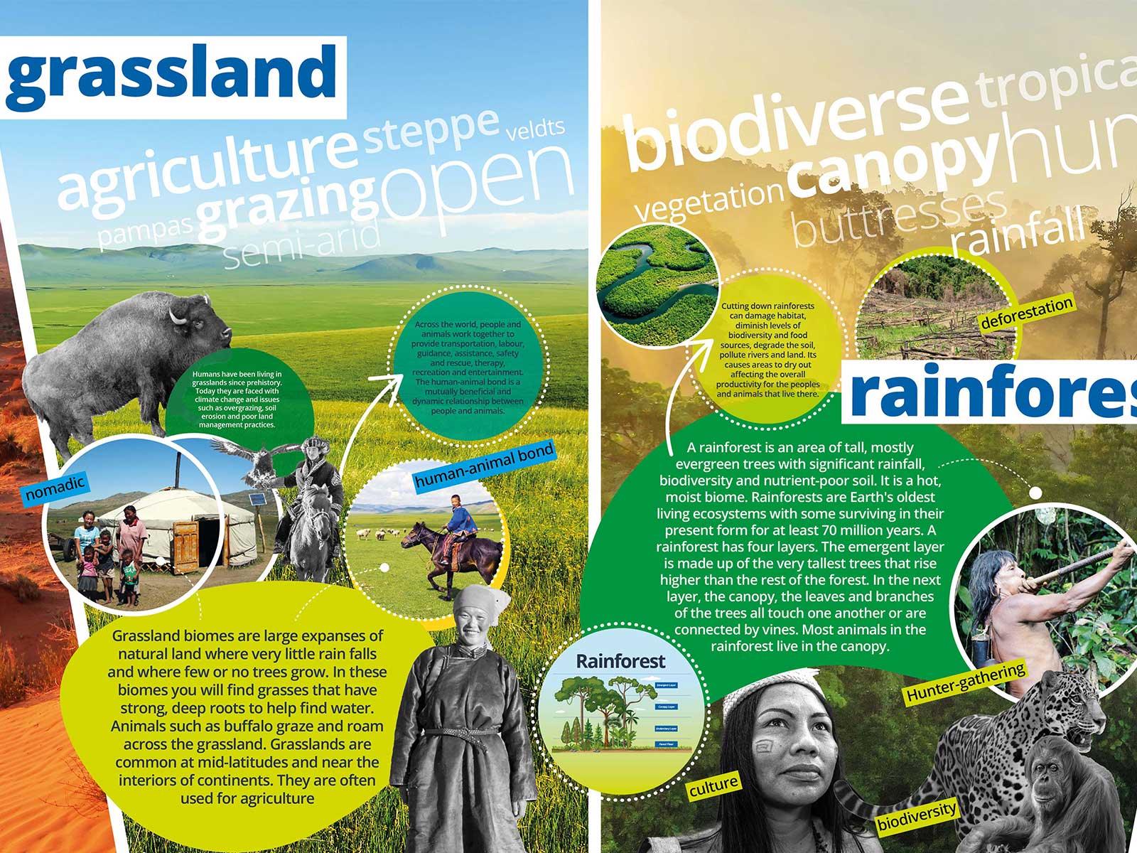 High-impact learning environment design transforming a secondary school thoroughfare into a humanities hub.