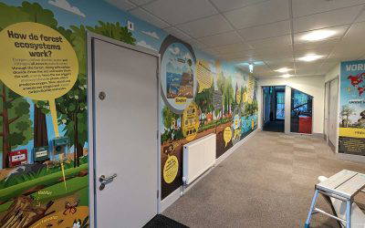 Alfred Sutton Primary School Case Study – Key Stage 1 and 2 Geography Wall Display