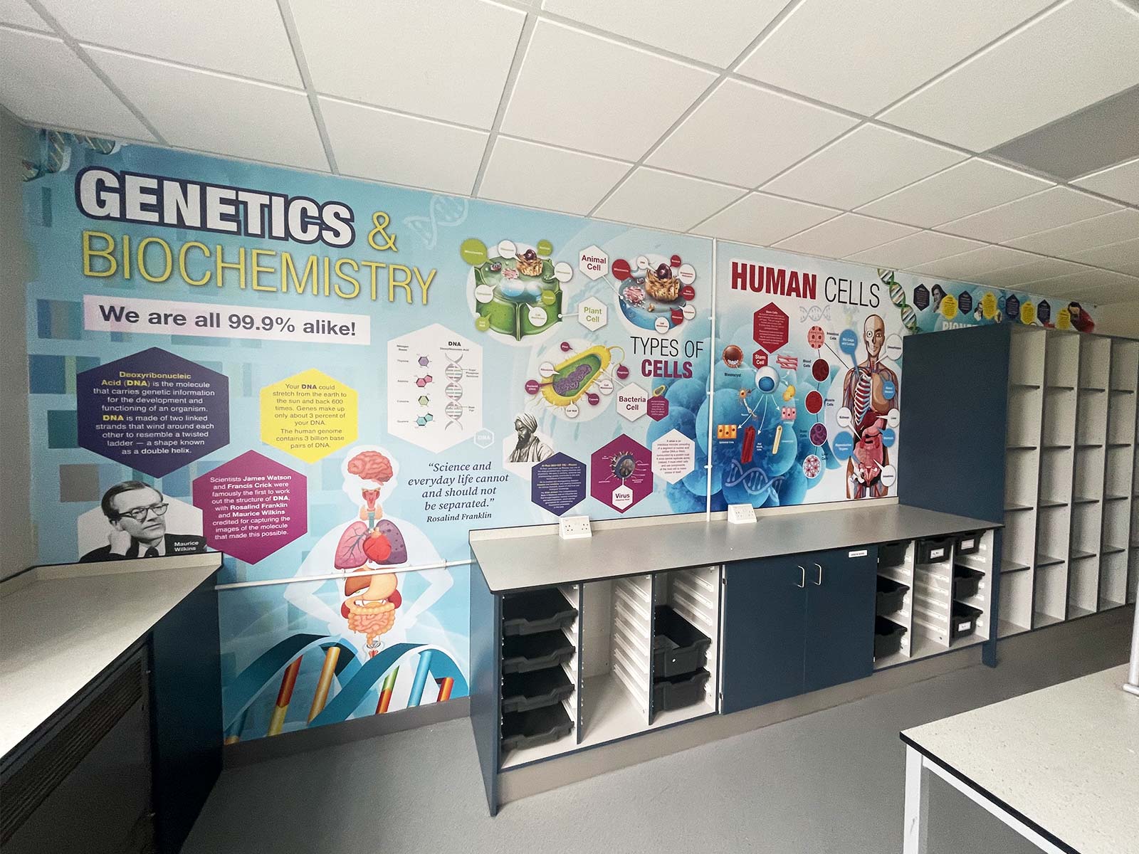 GCSE terminology science classroom murals supporting learning