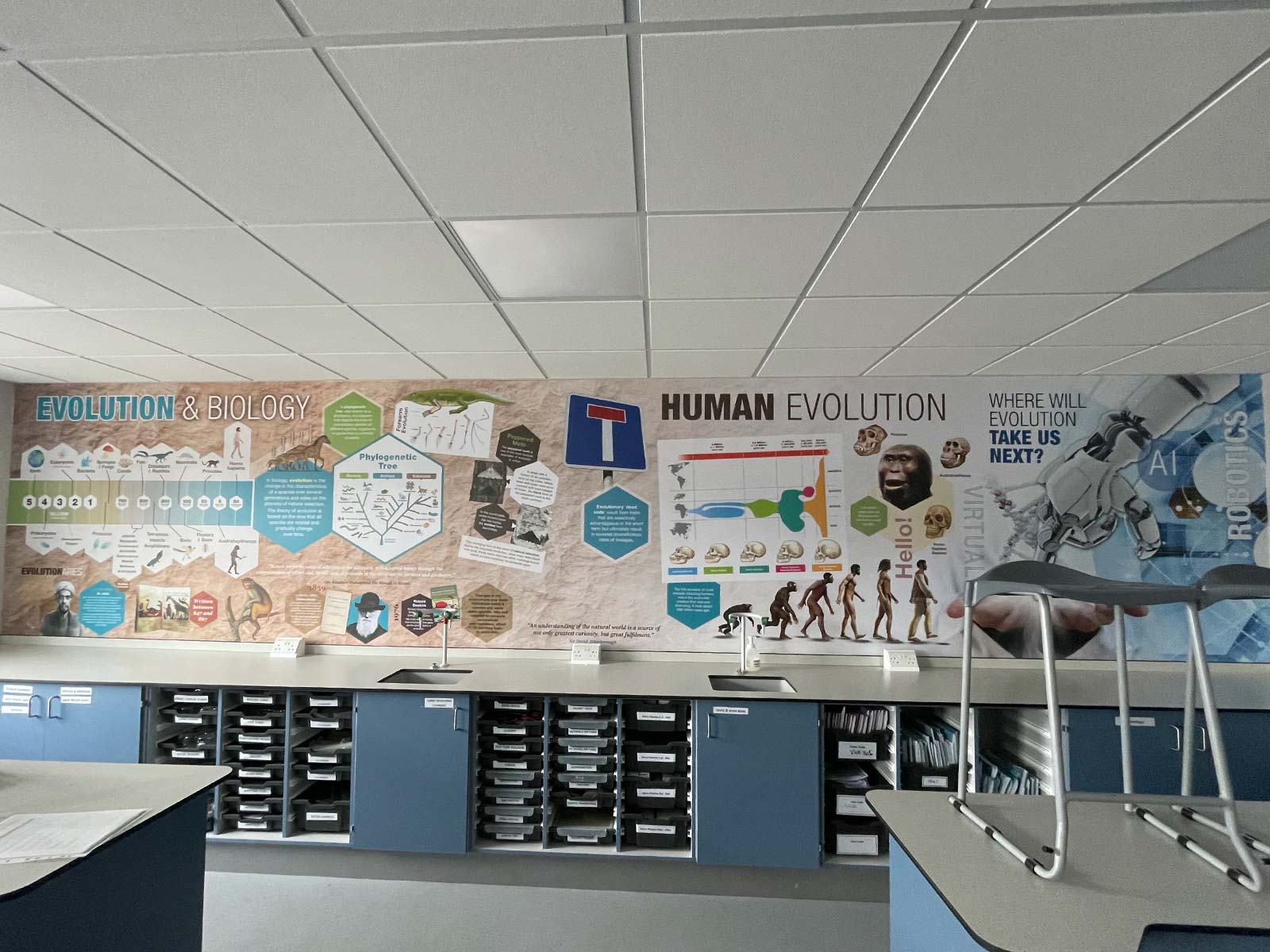 science classroom murals in refurbished Driffield School science lab