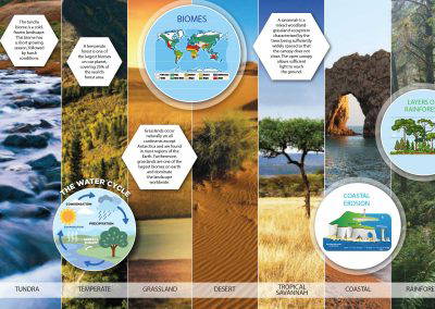 geography corridor wall art enhancing learning environment design in school corridor