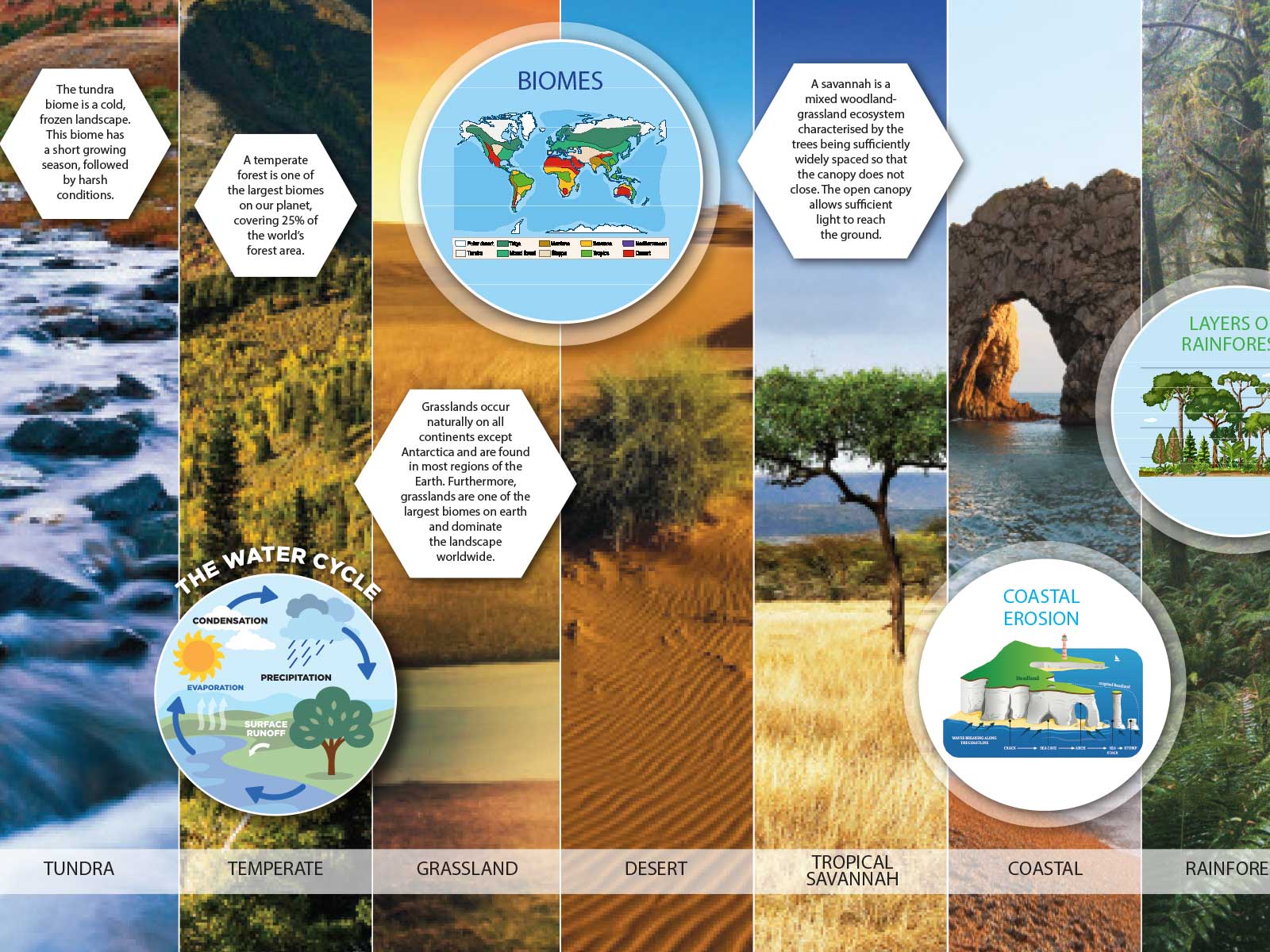 geography corridor wall art enhancing learning environment design in school corridor