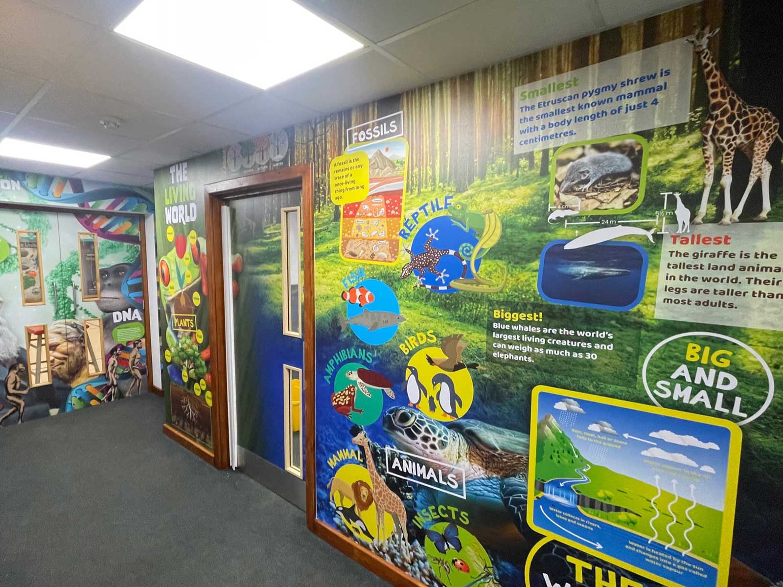 Detailed science wall art within STEM wall graphics installation
