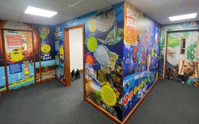 Lowbrook Academy STEM Wall Graphics Case Study