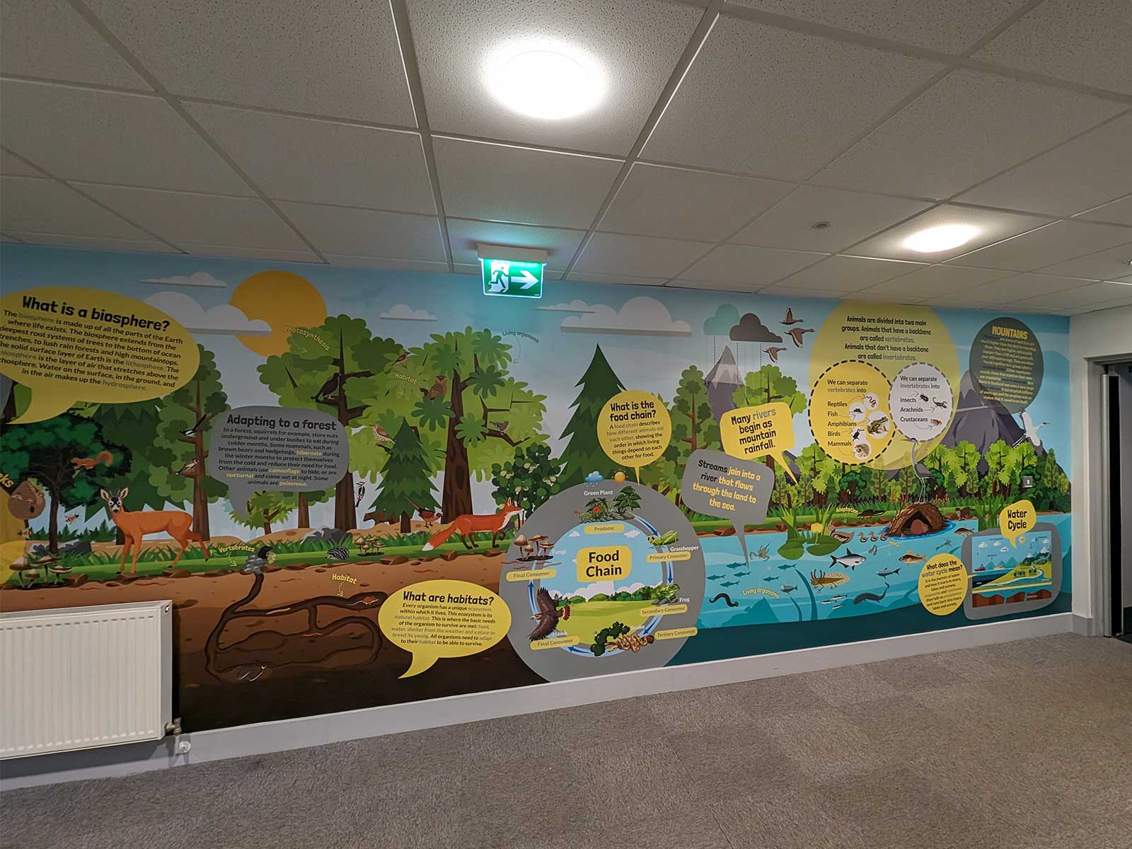 Learning environment design featuring Key Stage 1 and 2 Geography wall display in a primary school