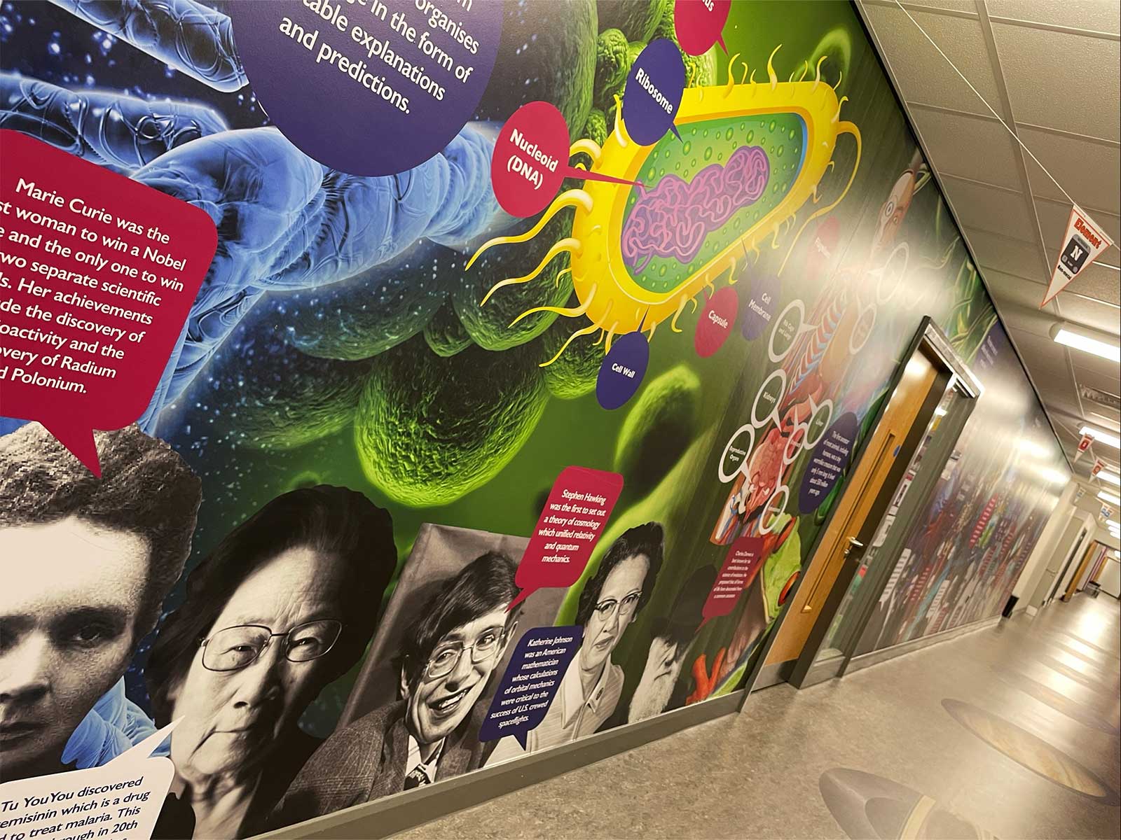 Educational science wall art timeline featuring key scientific discoveries