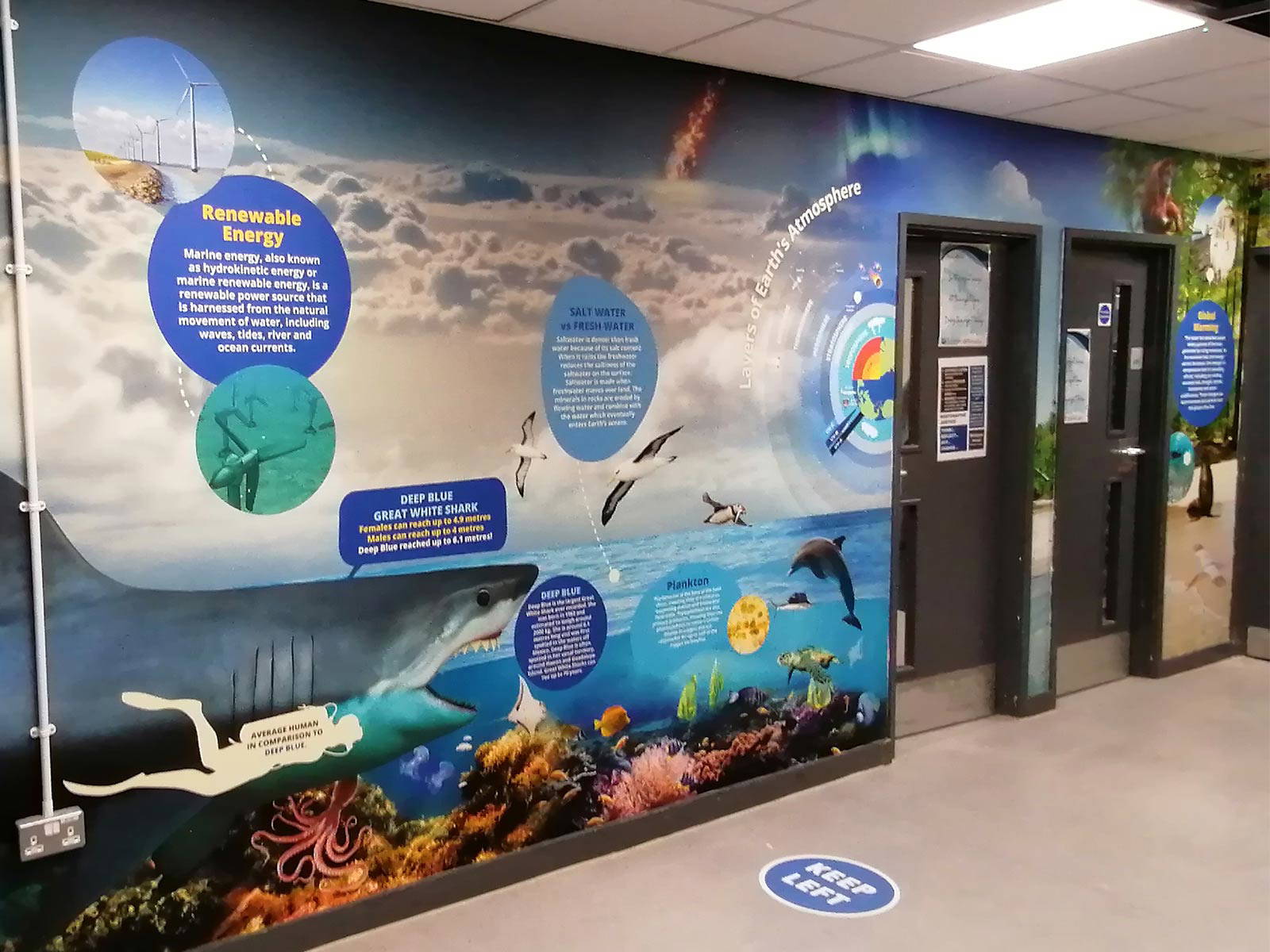 Professional installation of science corridor wall graphics in Slough