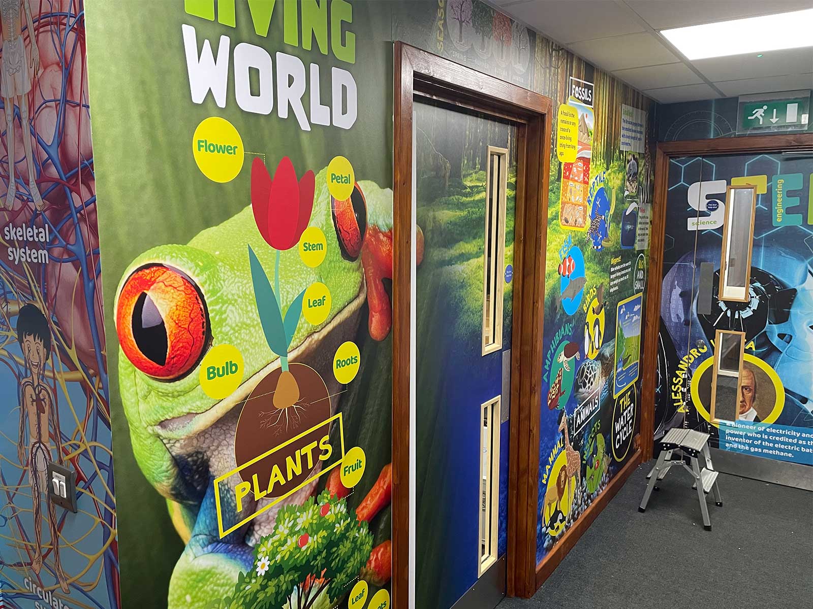Educational wall art creating immersive STEM learning space