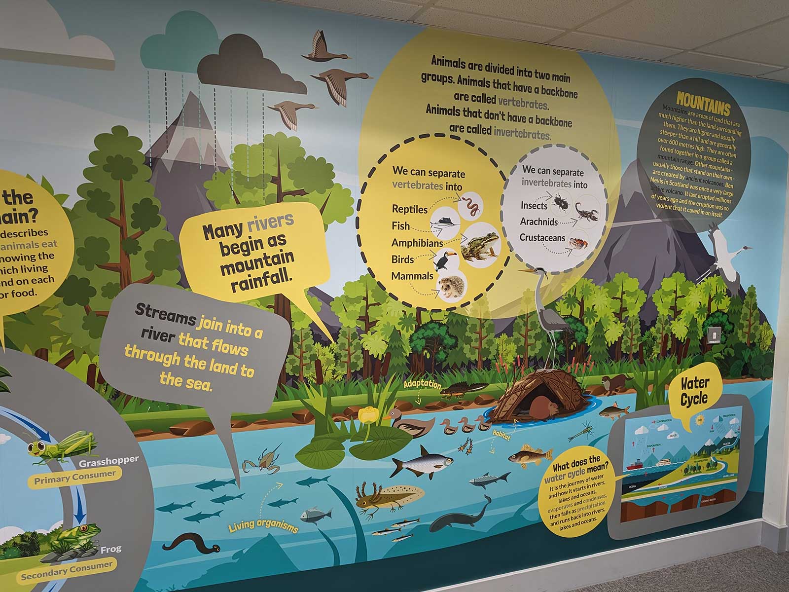 Combined geography and science mural showing underground water land and air for Key Stage 1 and 2