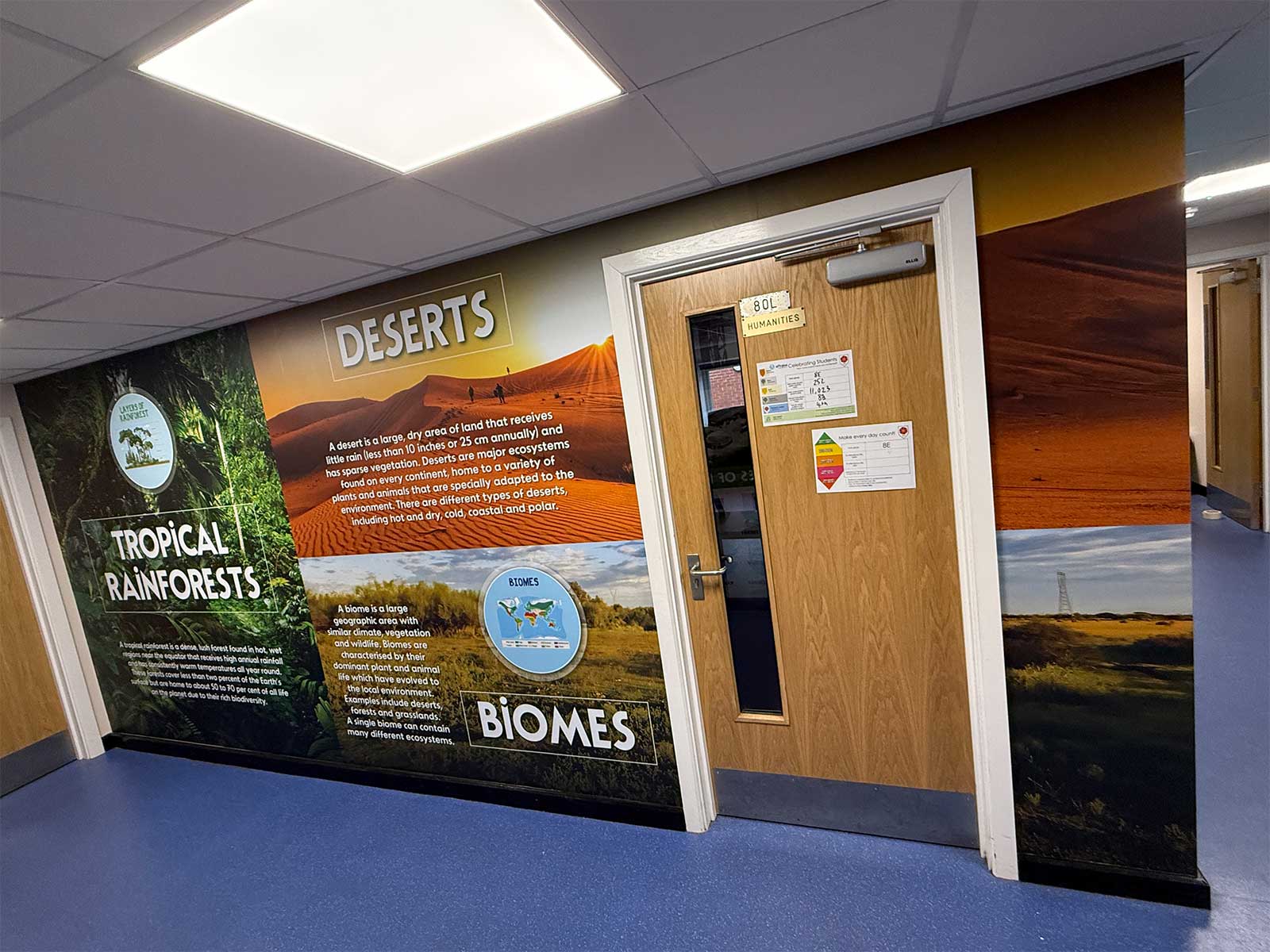 The finished secondary school geography wall art installation featured in the Waltham Toll Bar Academy case study.